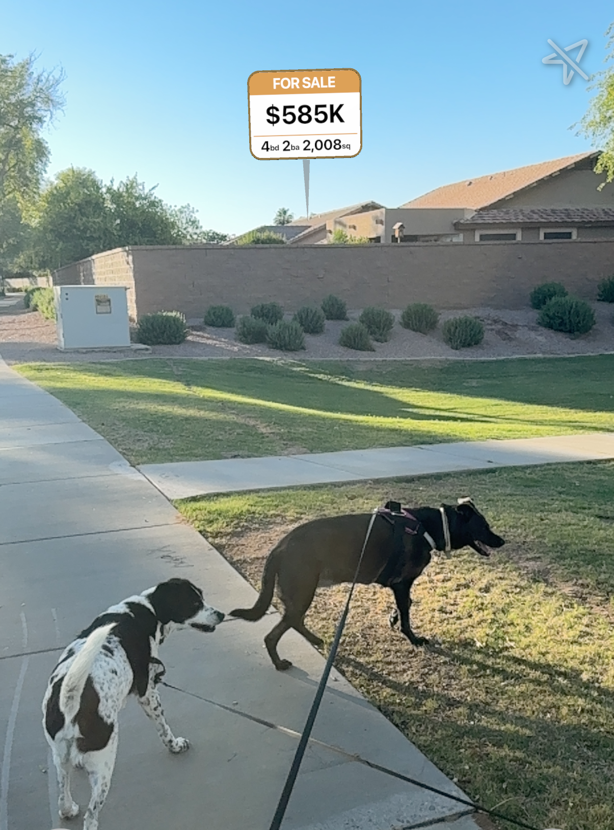 Sarah walking dogs with a HouseQuest for sale beacon